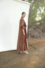 Mercury in Chestnut - Image 4